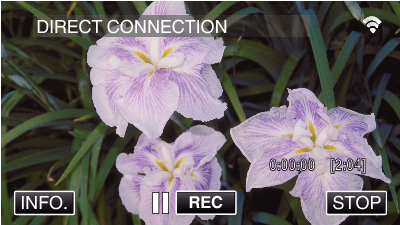 C4B9 Wi-Fi Screen Wi-Fi